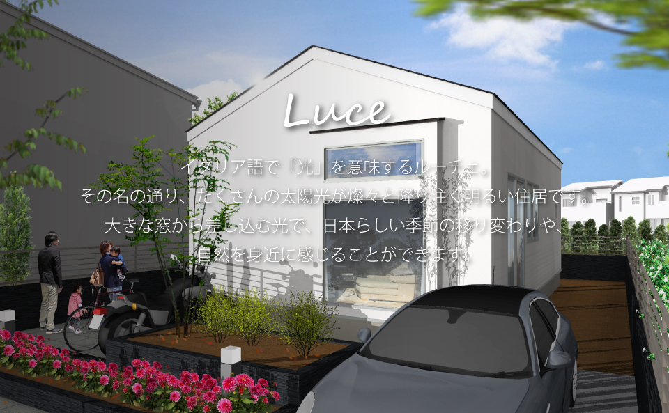 Luce